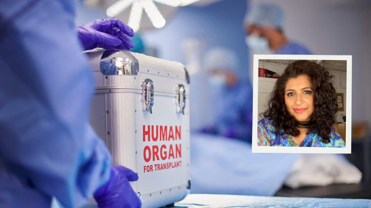 Lead Organ Donor.png