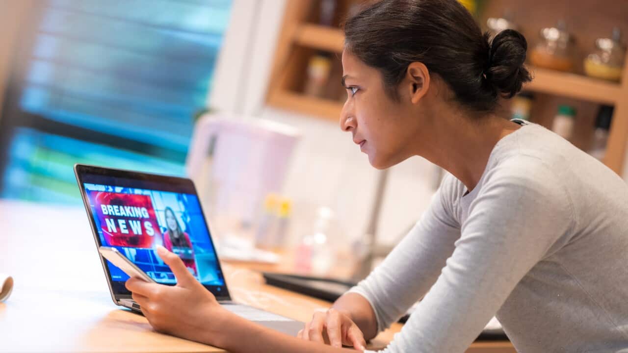 Indian young adult woman looking at laptop