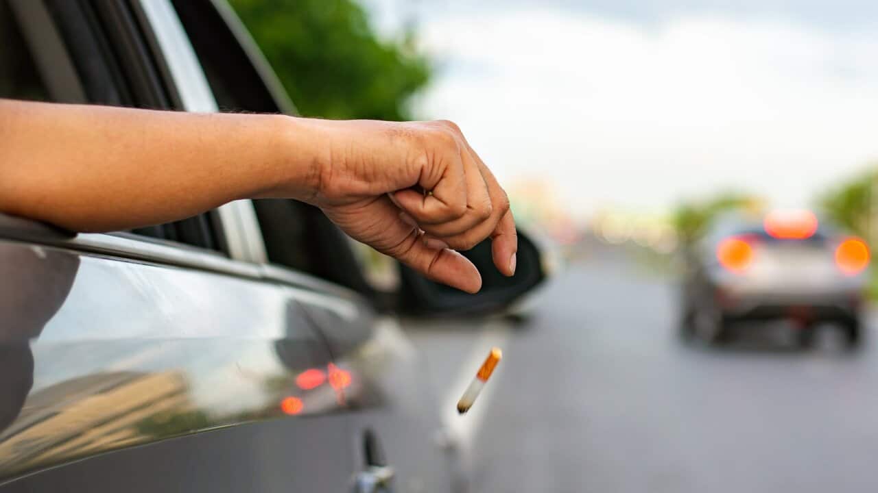 cigarette butt, fines, Queensland