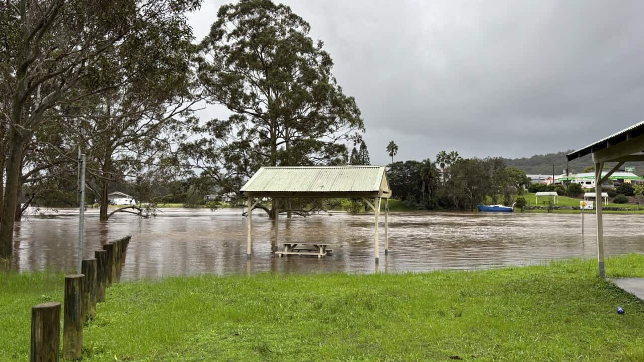 Floods NSW SES Facebook.jpg