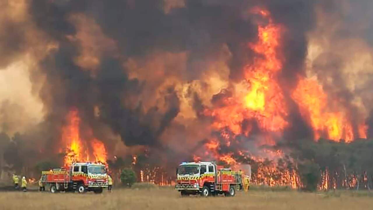 Image for read more article 'Otras noticias relacionadas:'
