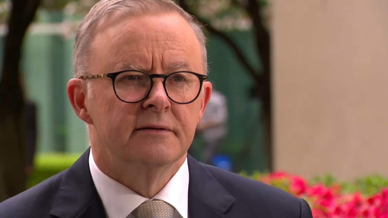 PM Anthony Albanese (SBS).jpg