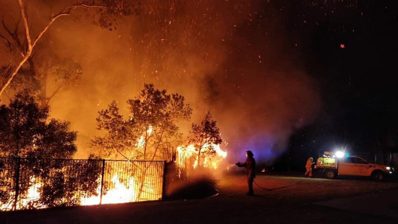 Firefighters battling a bushfire in Peregian Springs on the Sunshine Coast (AAP)