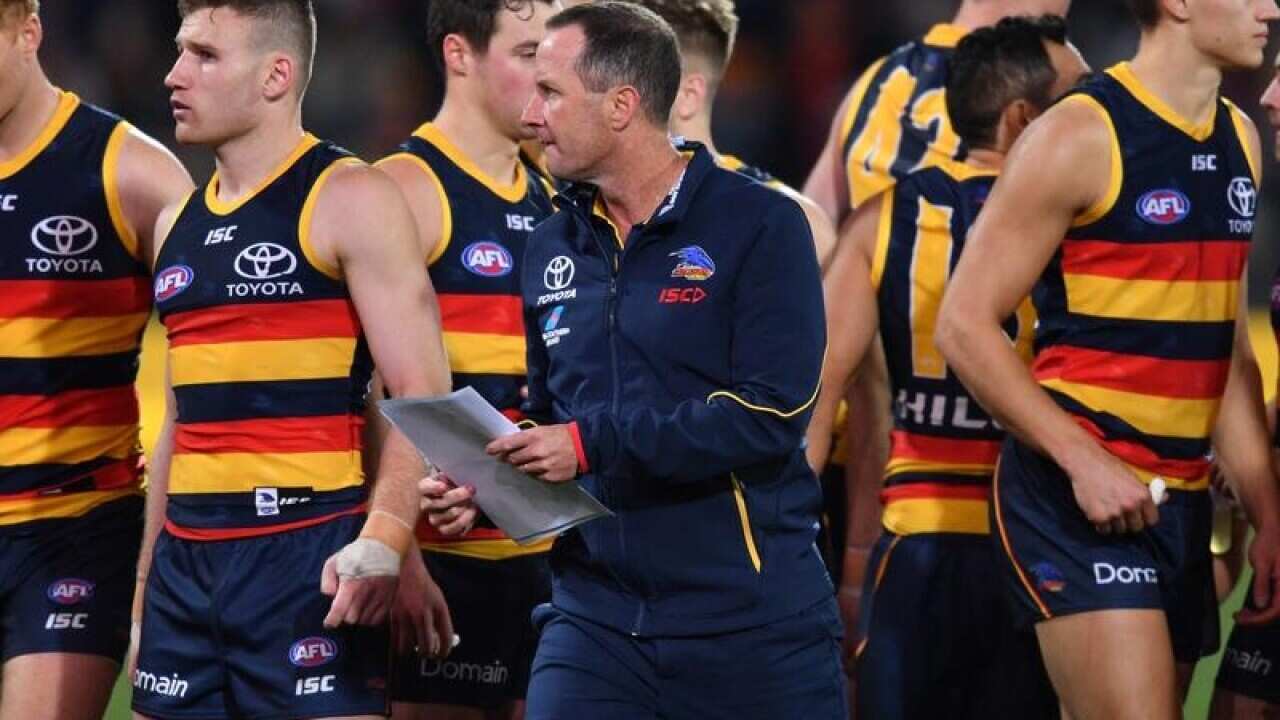 Adelaide Crows coach Don Pyke