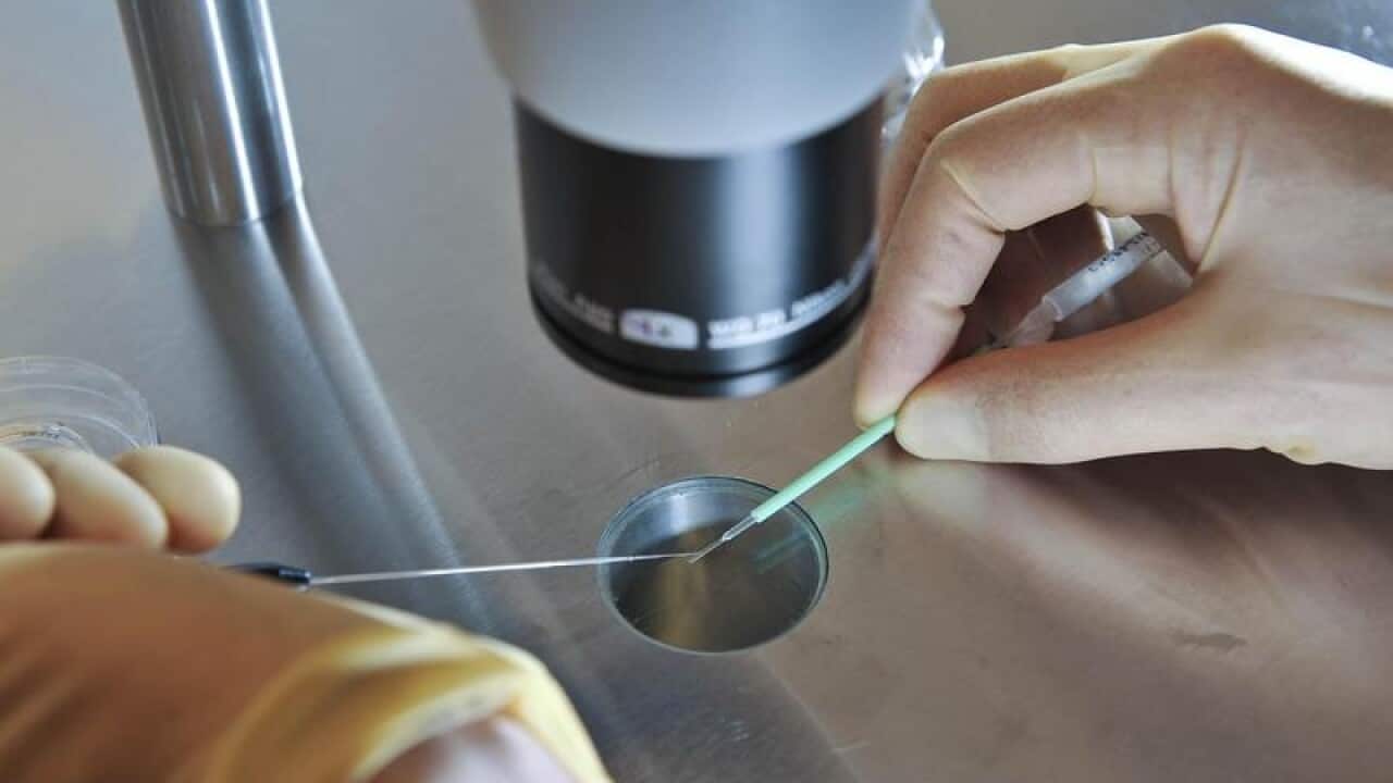 Embryos are placed onto a CryoLeaf for freezing.