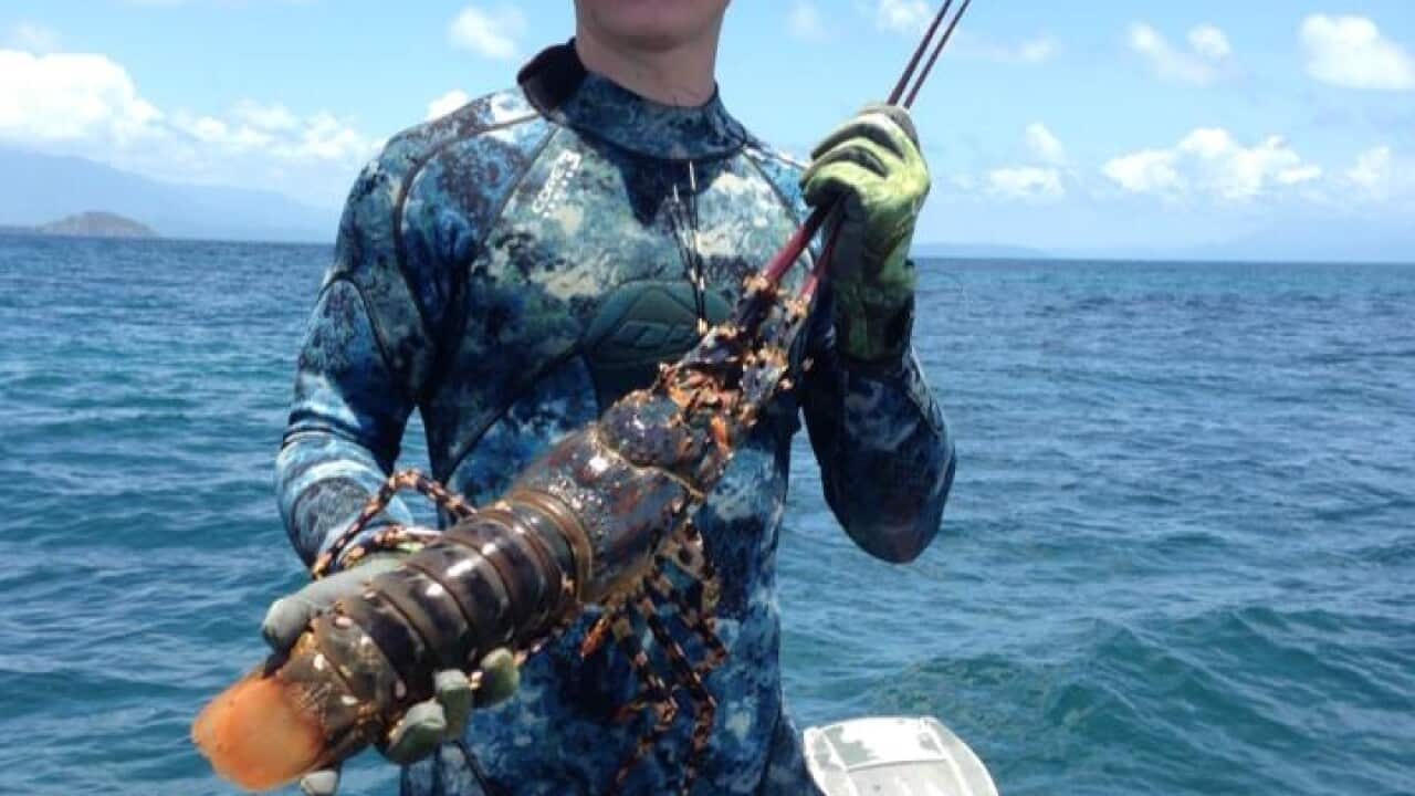 A supplied image of shark attack victim Daniel Smith. (AAP/Facebook)