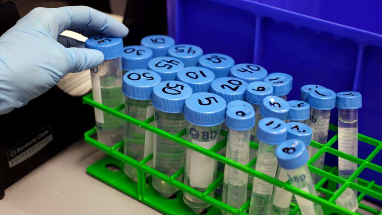 Image for read more article 'READ MORE'