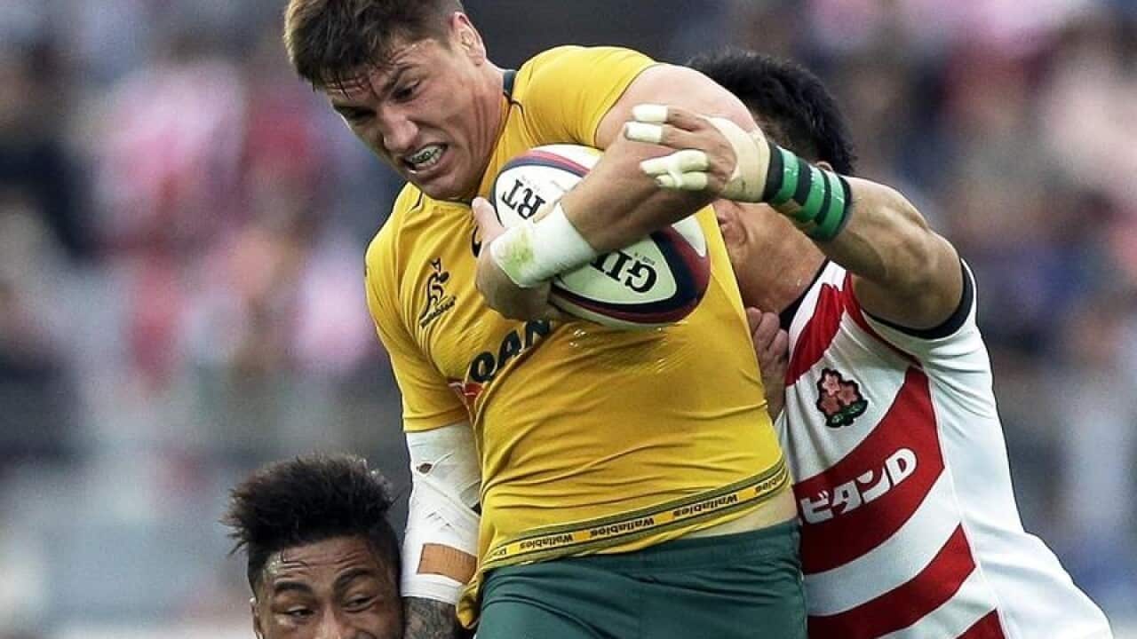 Wallabies backrower Seam McMahon