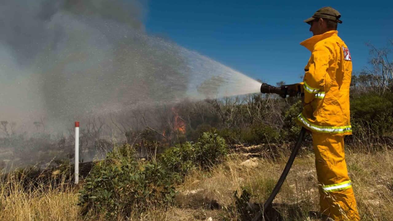 A firefighter sprays water on a bushfire