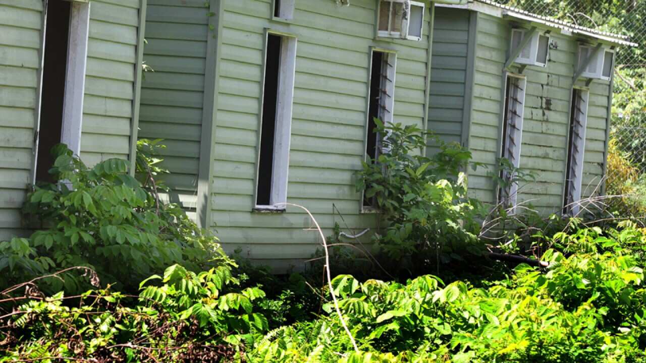 Families may be moved out of Manus: oppn