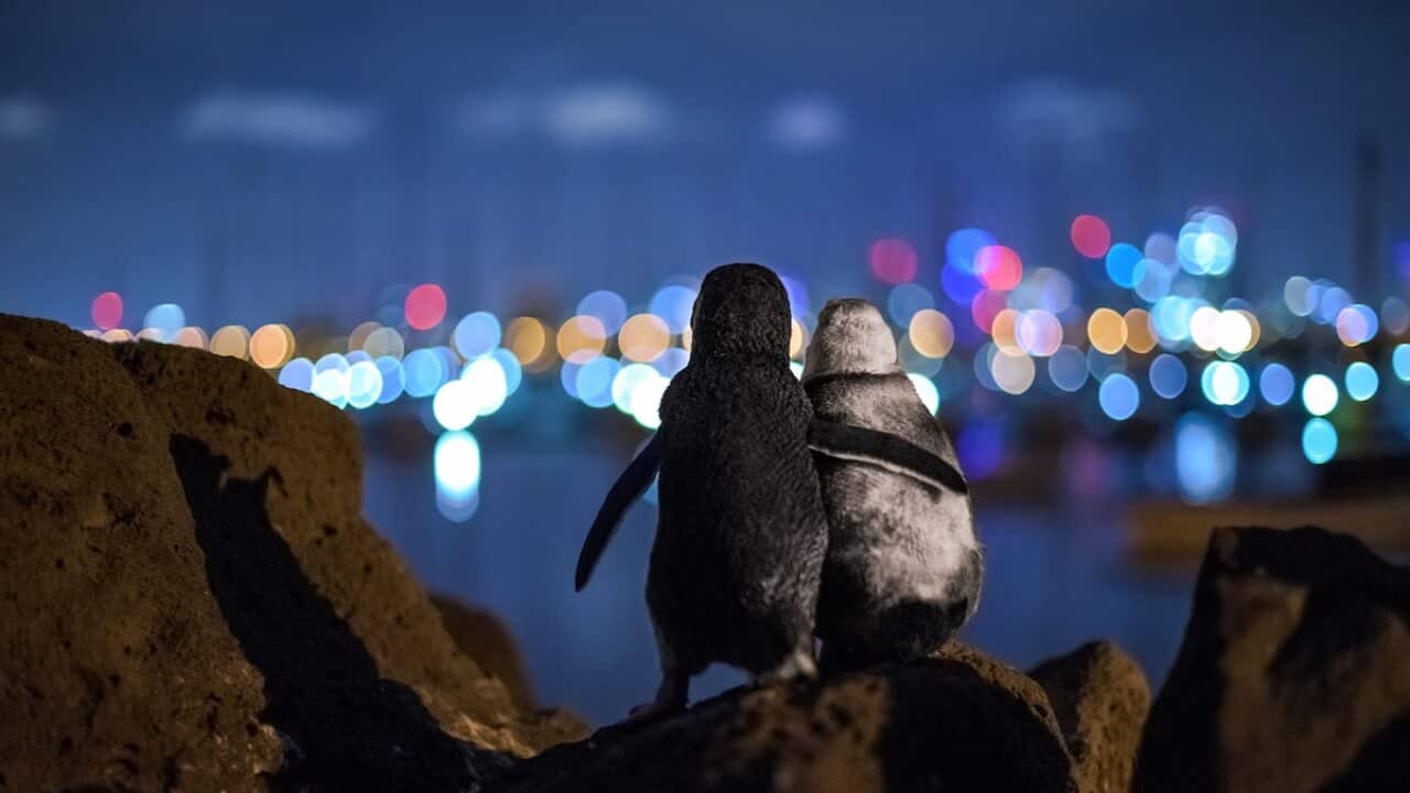 Image for read more article 'READ MORE'