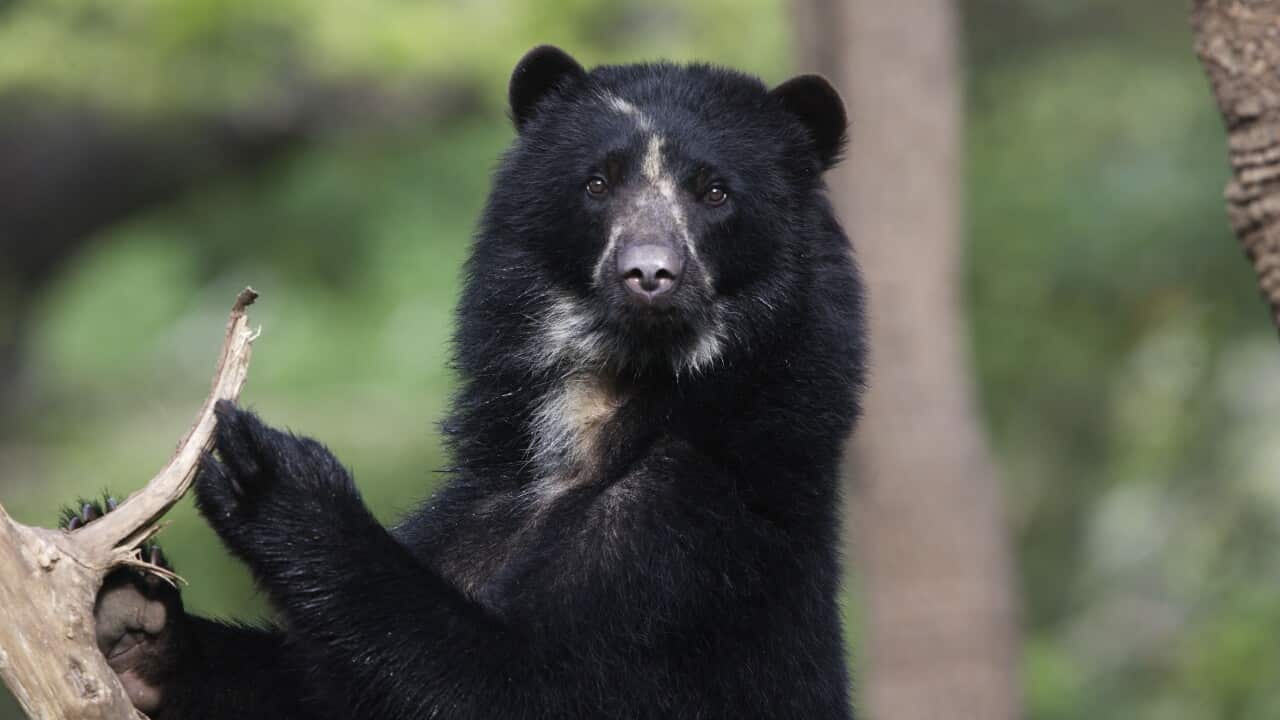 Image for read more article ''