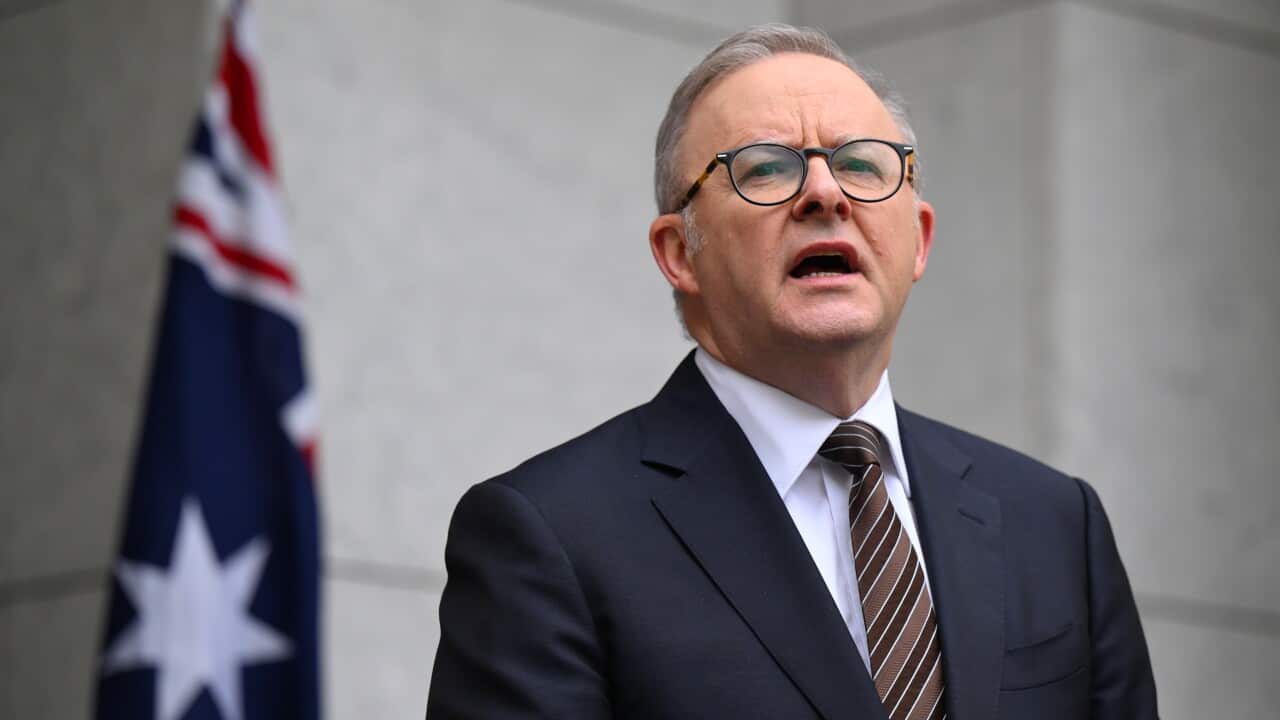 Image for read more article 'Contenido relacionado:'