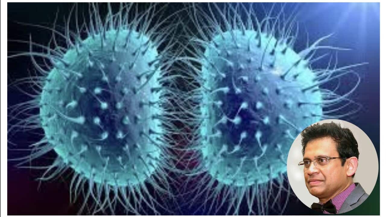Menningococcal
