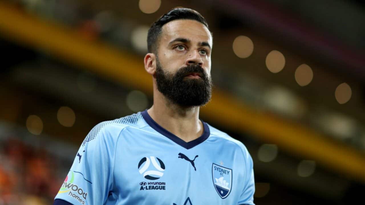 Brosque
