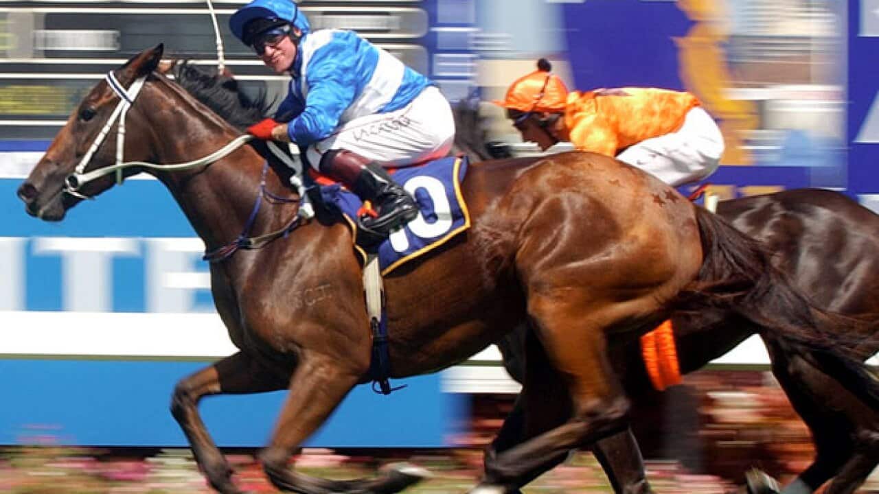 Horse-racing_whip_b_120321_aap_1608284698