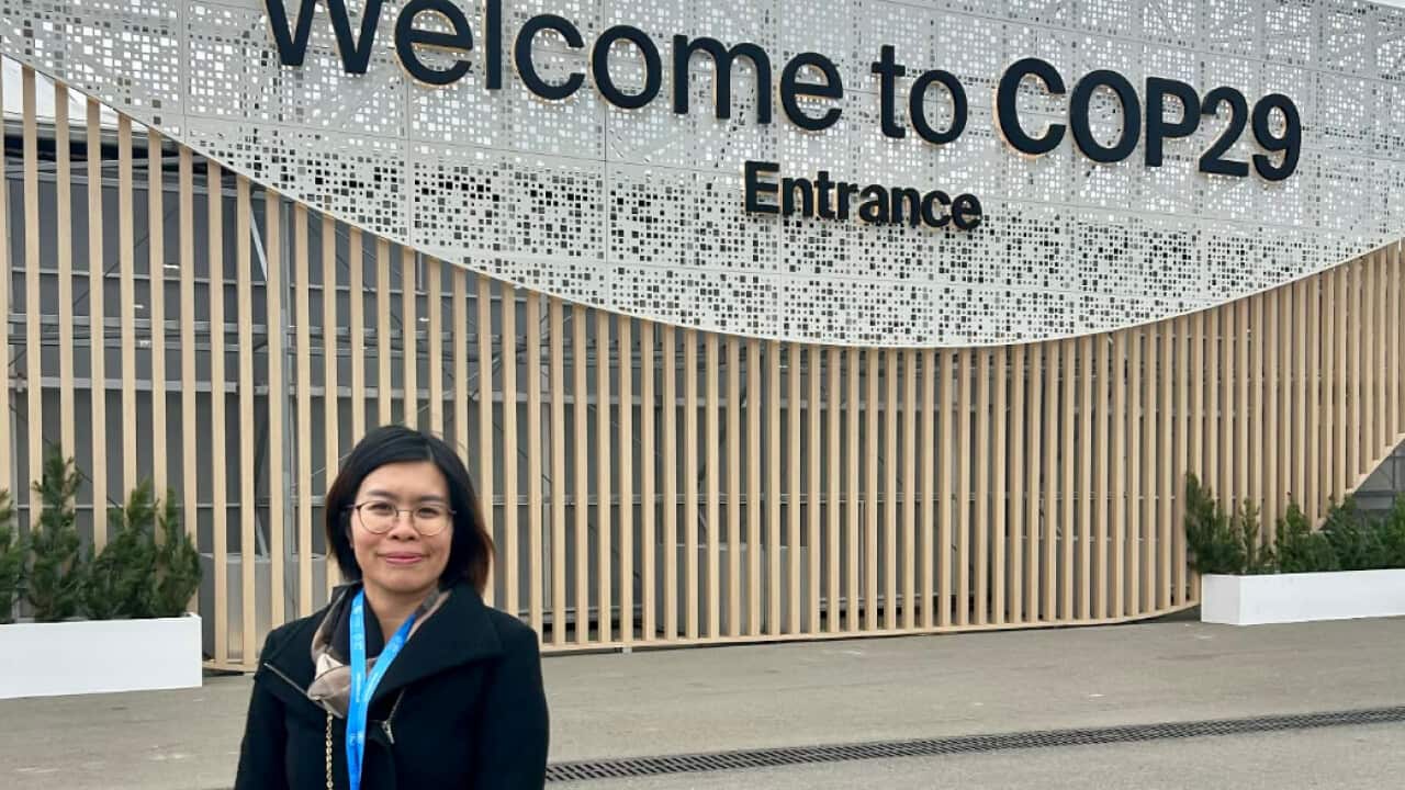 Vietnamese Web 2.png