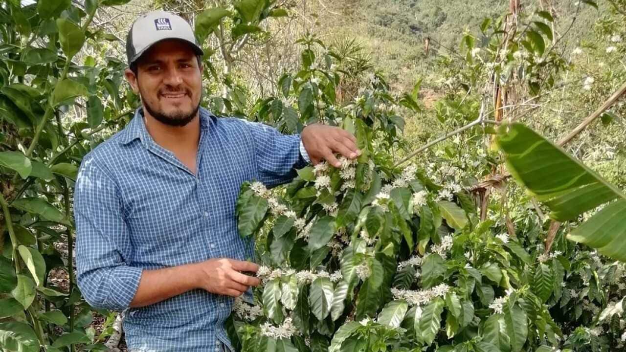 Passiflora Coffee Project / Emmanuel López Gamboa