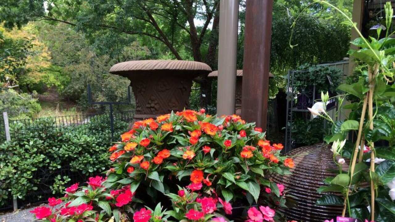 Gardening