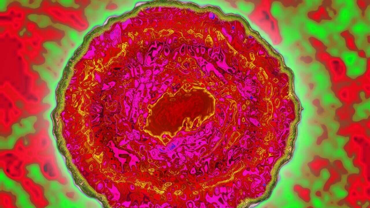 There is no vaccine for cytomegalovirus, but lots of candidate vaccines are being researched – New Scientist, 19 June 2017.