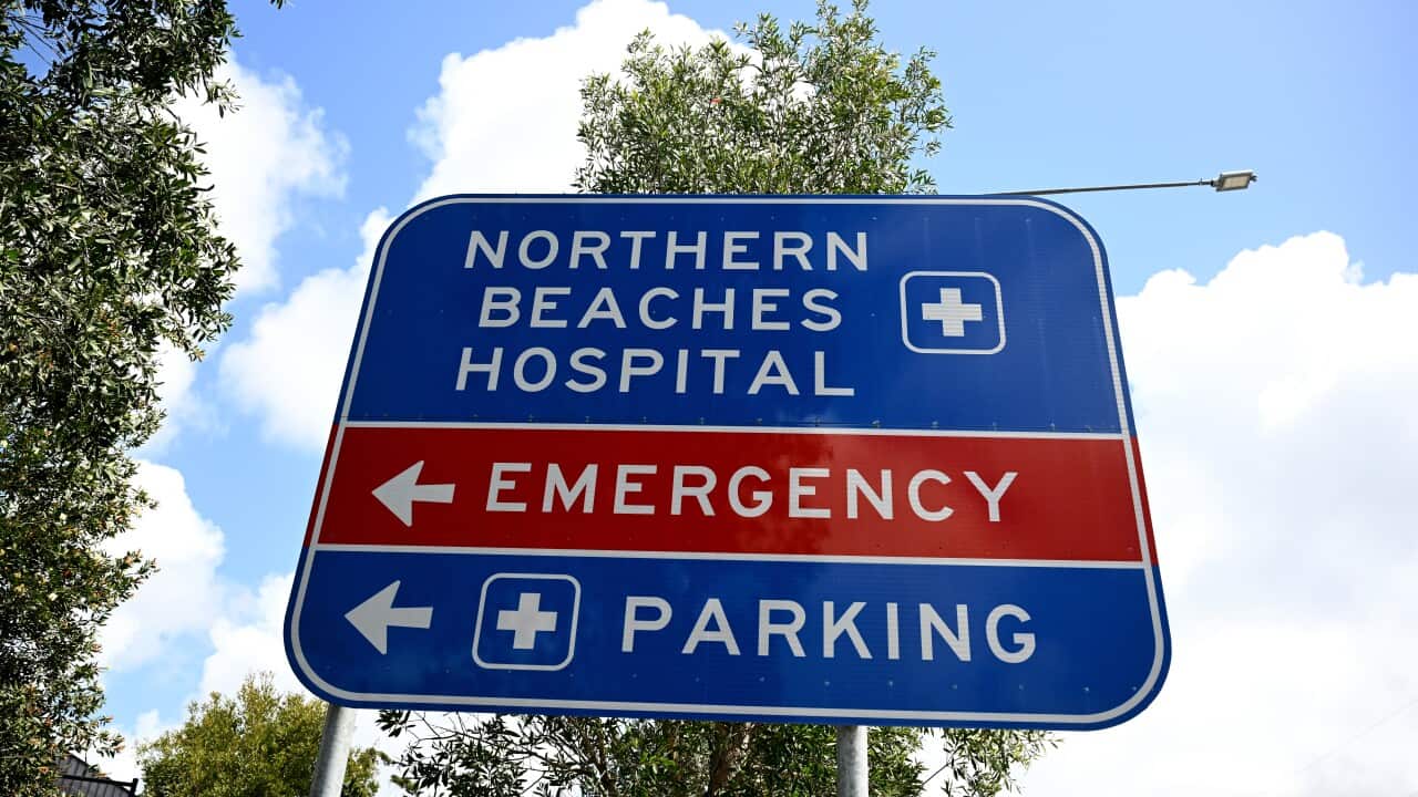 NORTHERN BEACHES HOSPITAL STOCK
