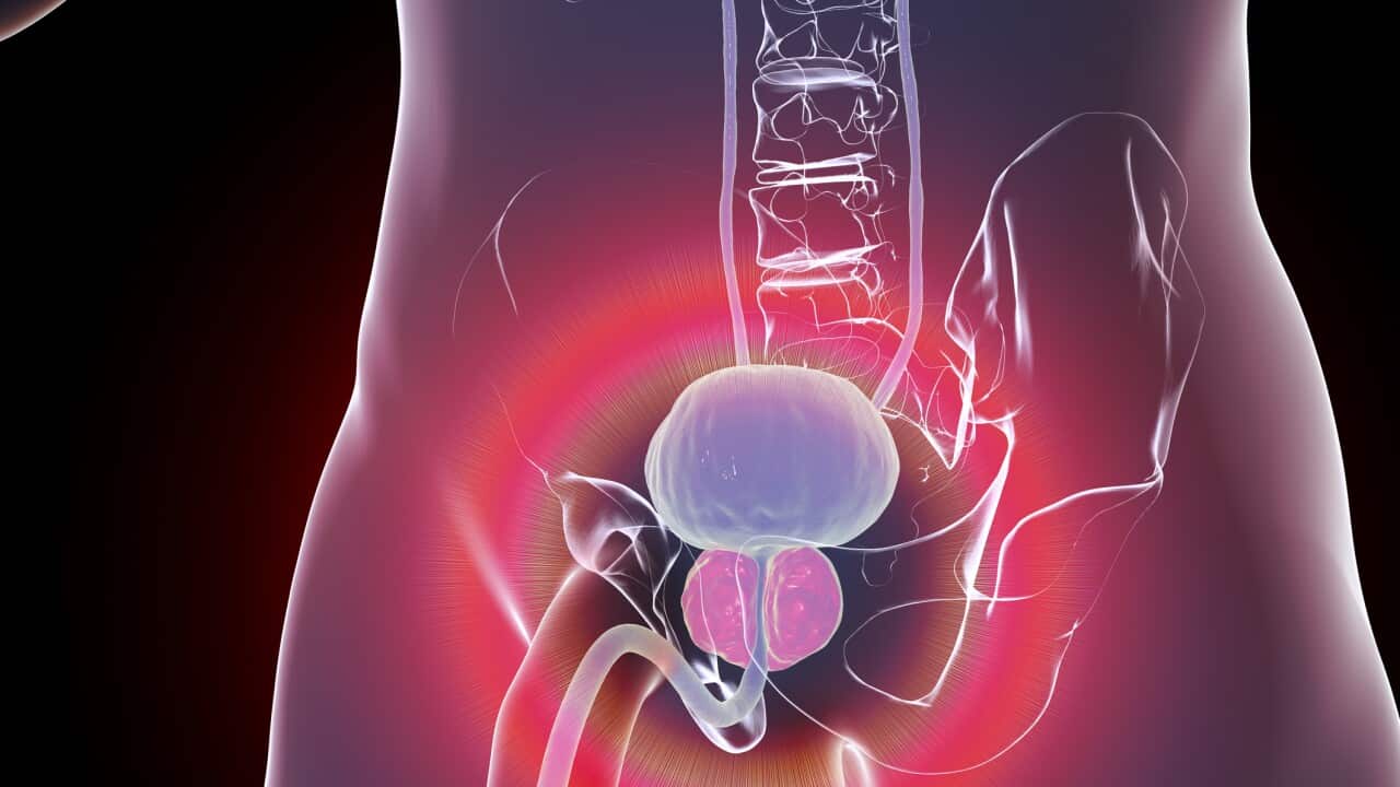 Image for read more article 'READ MORE'