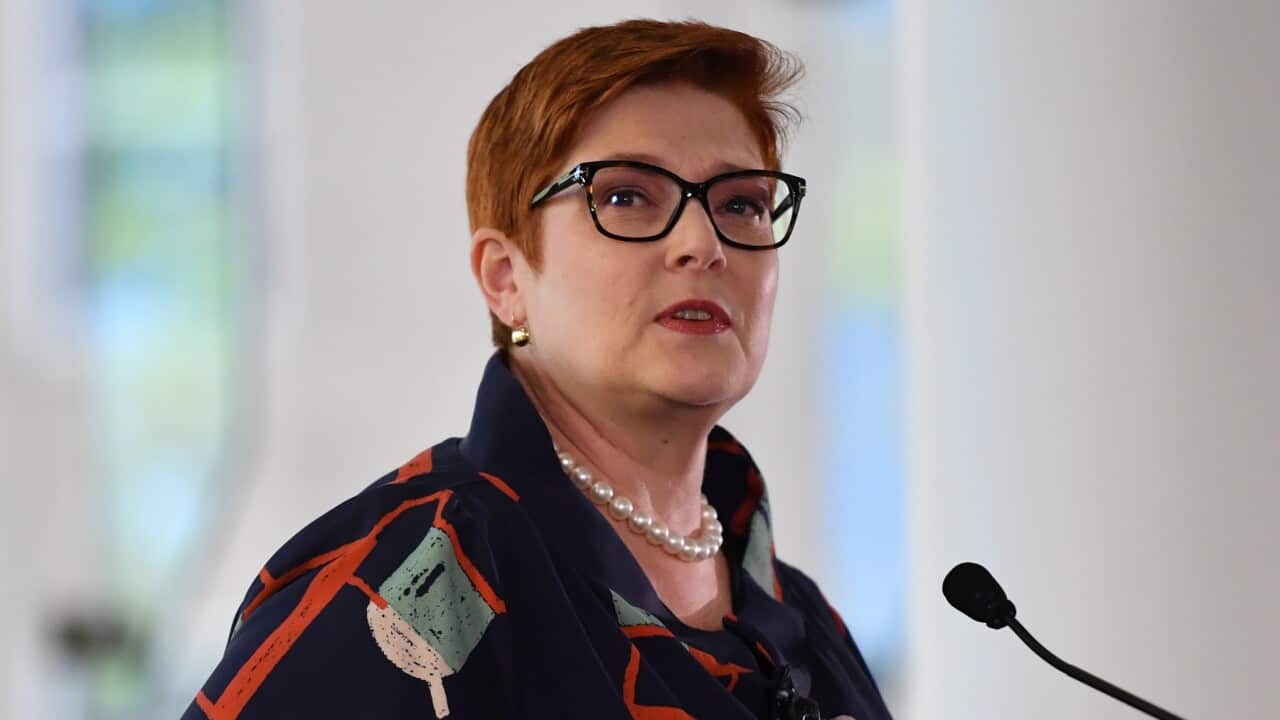 Minister for Foreign Affairs Marise Payne makes a keynote speech to the diplomatic corps at the Department of Foreign Affairs and Trade in Canberra