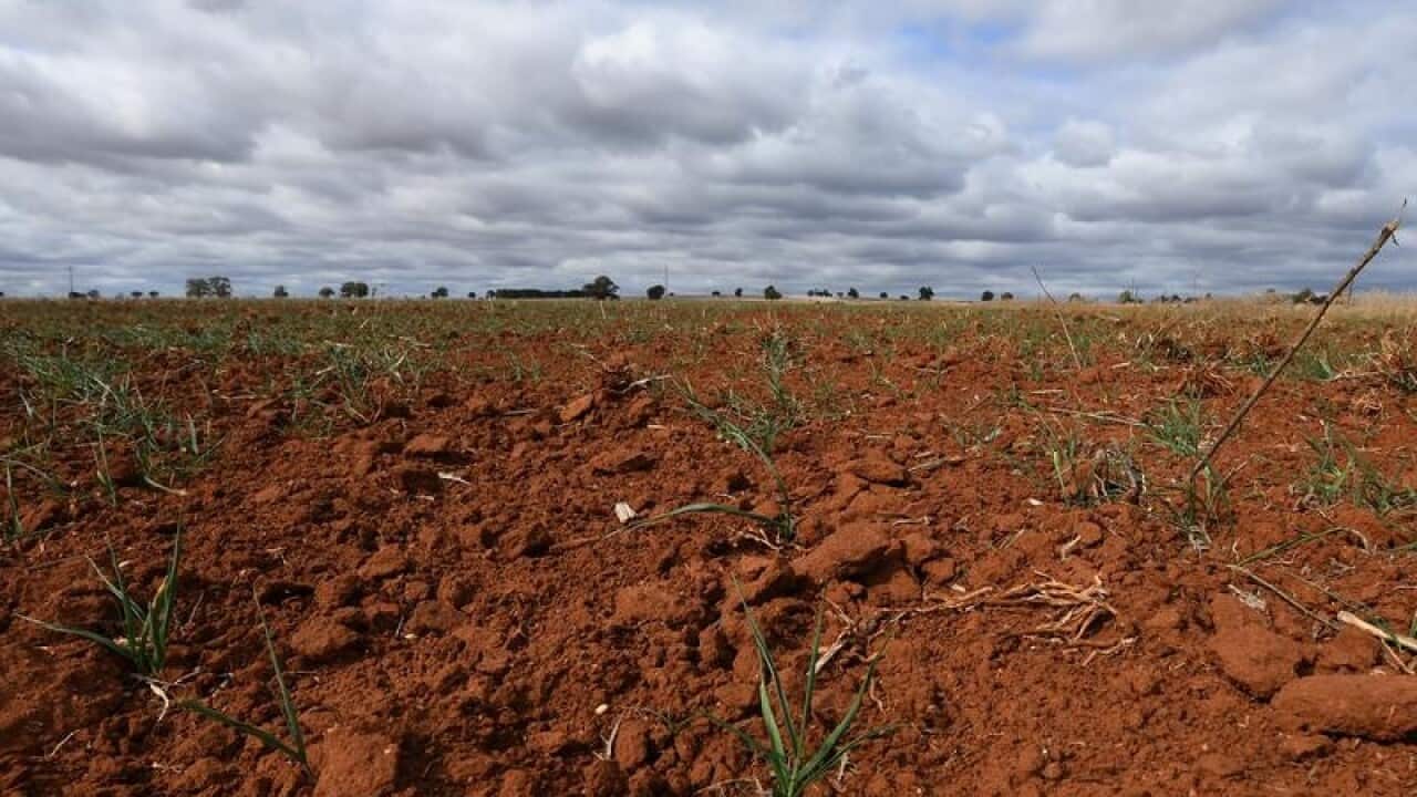 Image for read more article 'READ MORE'