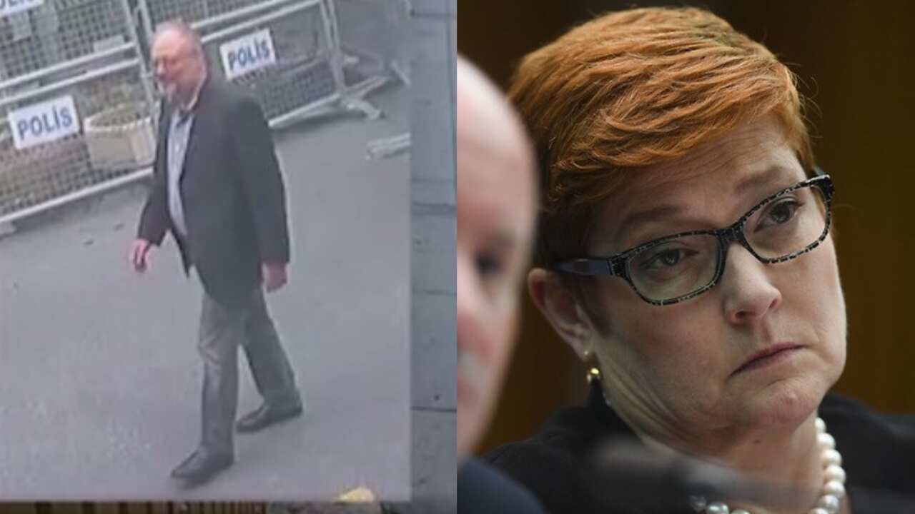Marise Payne was asked at Senate Estimate if Australia should follow Germany in suspending the sale of arms to Saudi Arabia in the wake of the Khashoggi killing