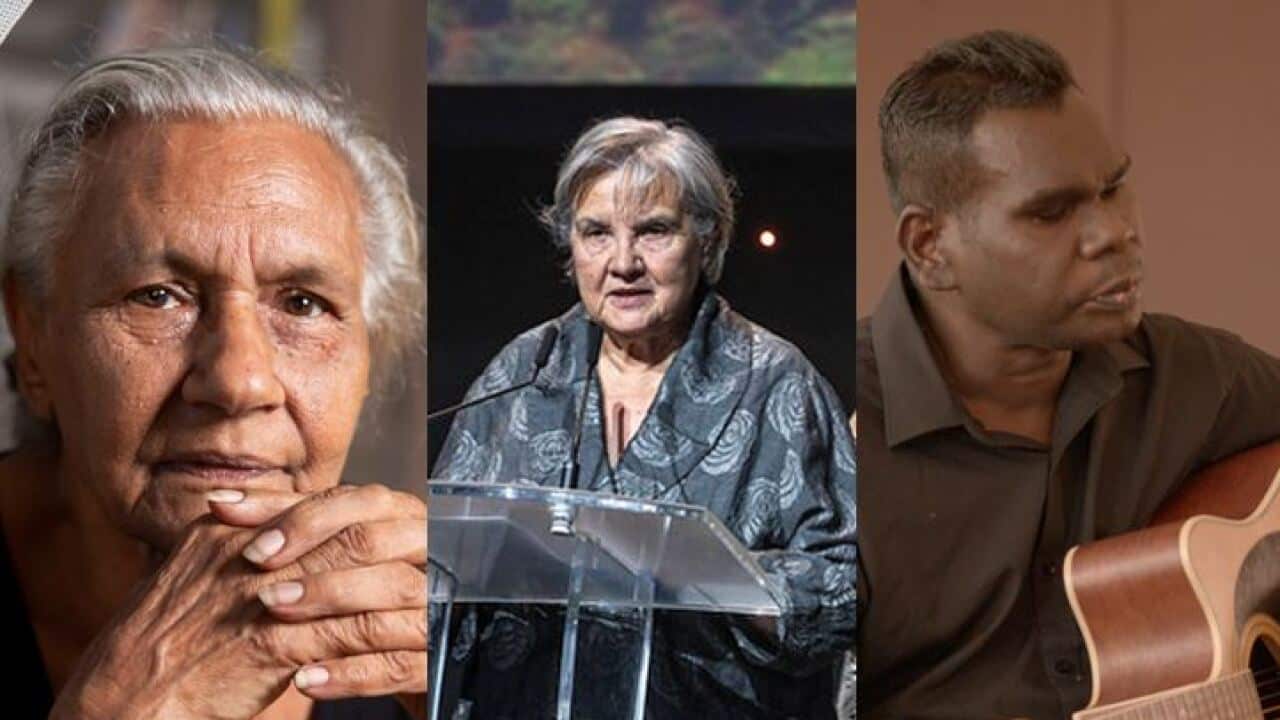 NAIDOC Programming