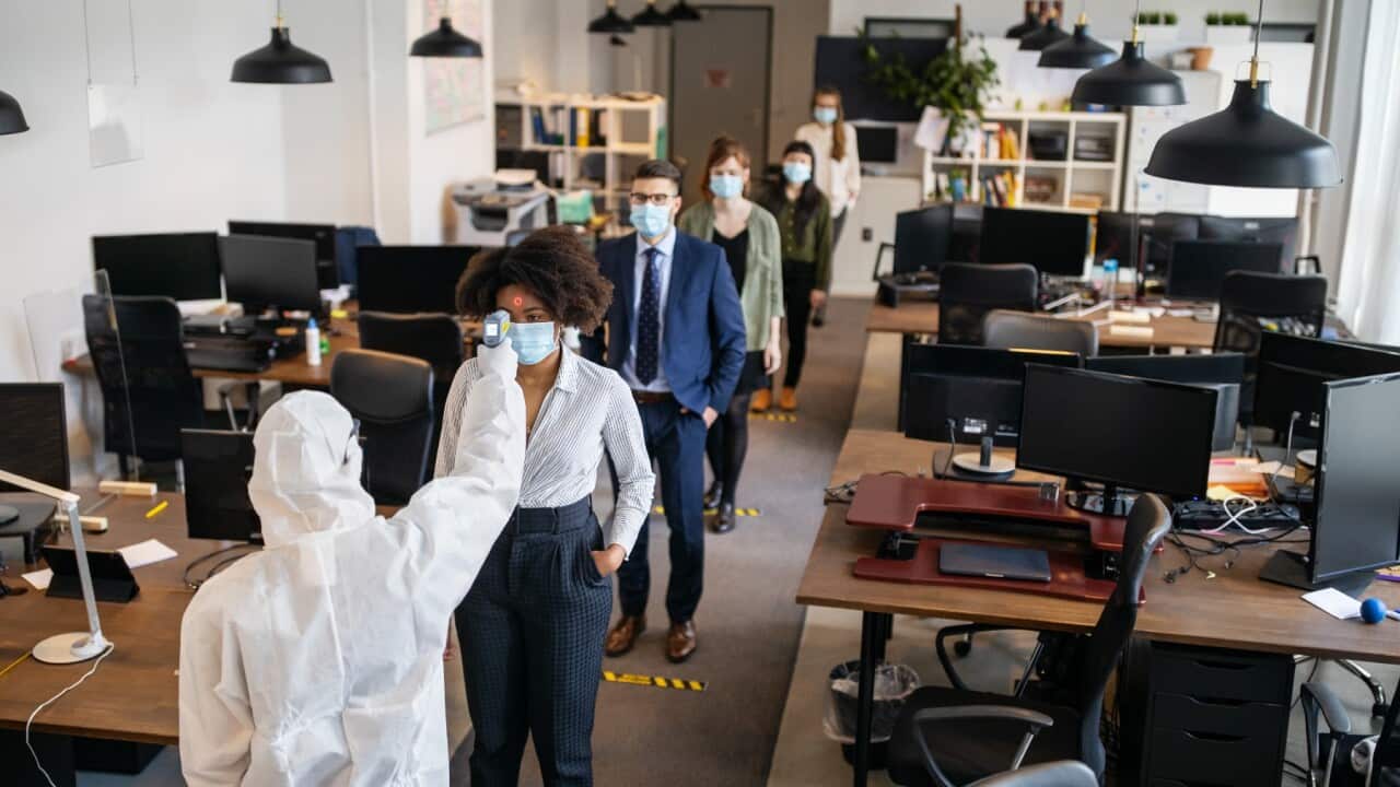 Covid safe procedure_ workplace temperature checking