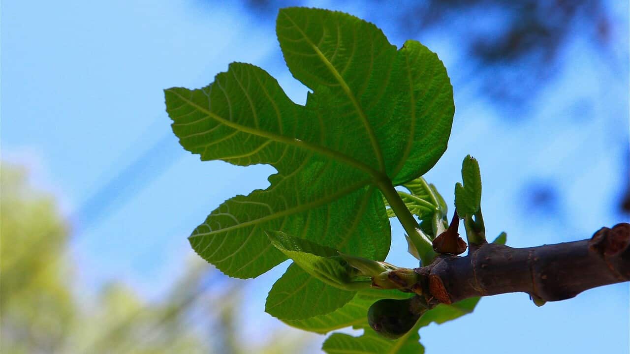 Image for read more article ''