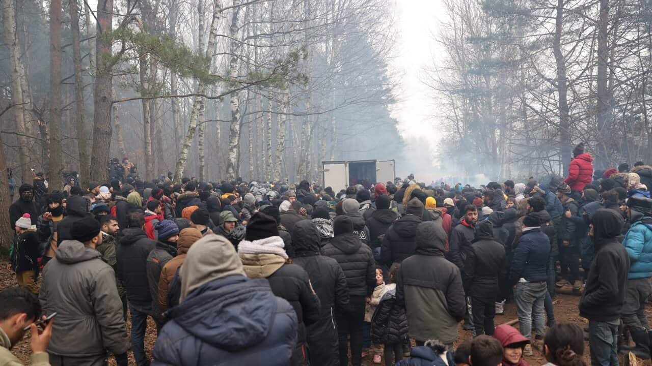 Migrants crowd for humanitarian aid at their camp at the Belarus-Polish border in the Grodno region