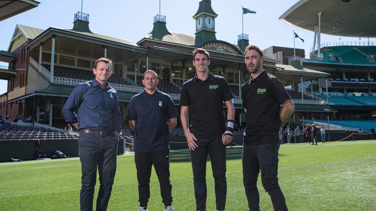 2023 ICC CRICKET WORLD CUP PREVIEW