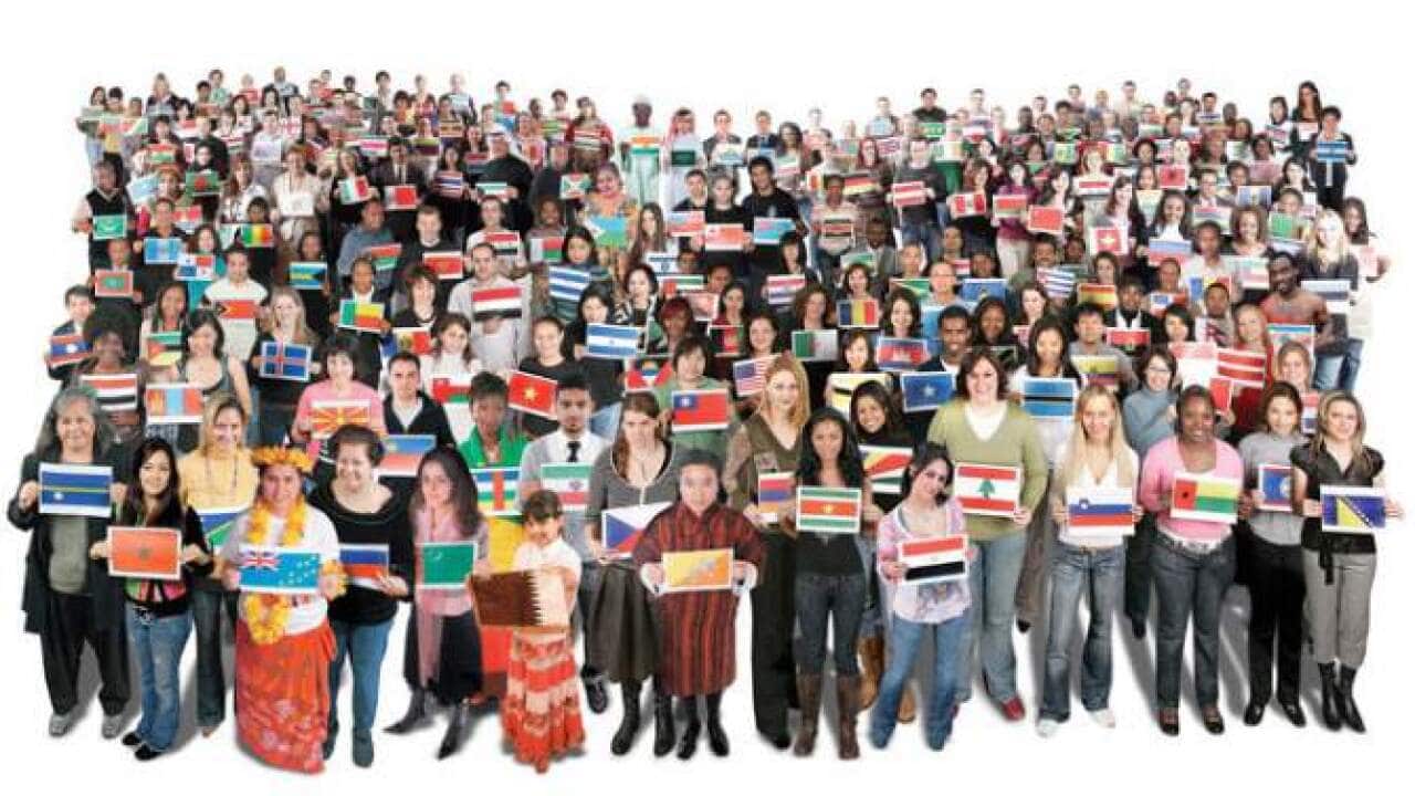 SOCIAL COHESION