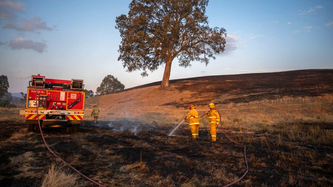 Victorian Bushfires in Australia - 10 Jan 2026