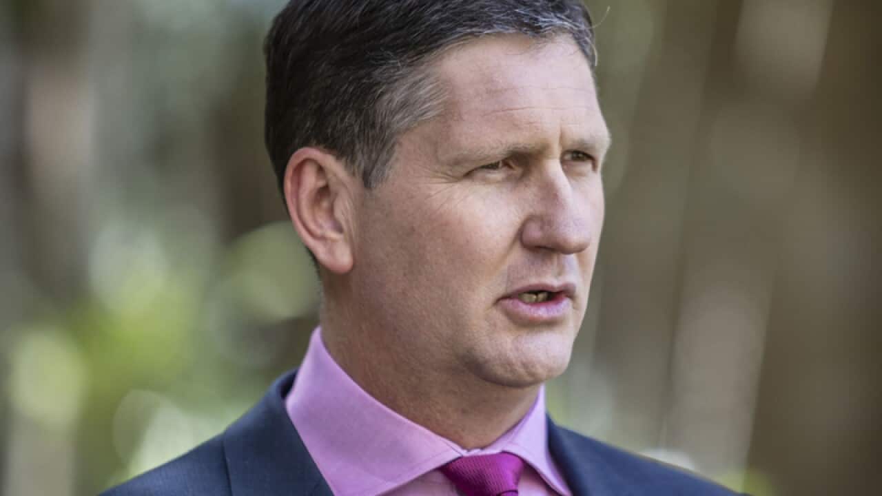 Queensland opposition leader Lawrence Springborg