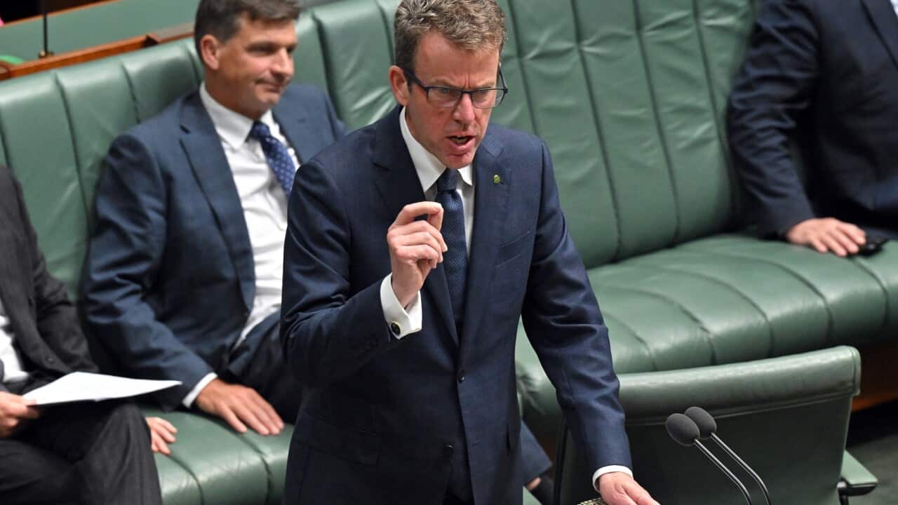 EMERGENCY VISA BRIDGING BILL