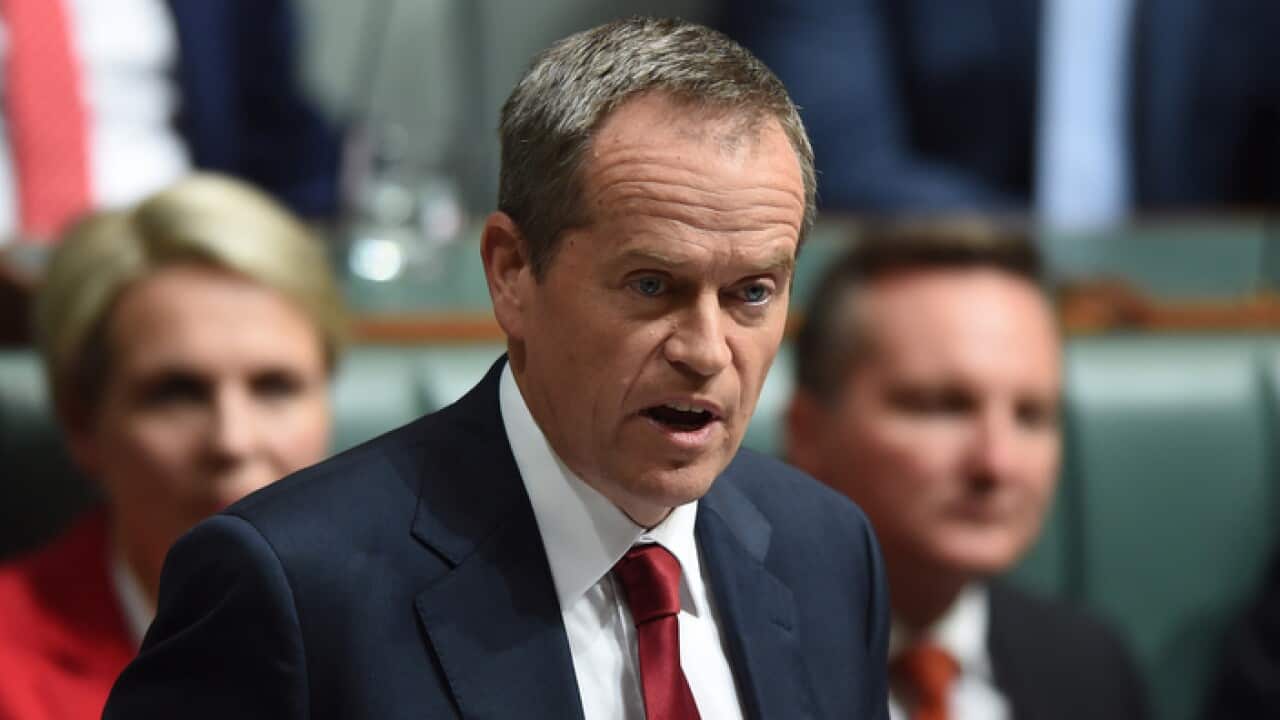 Opposition Leader Bill Shorten