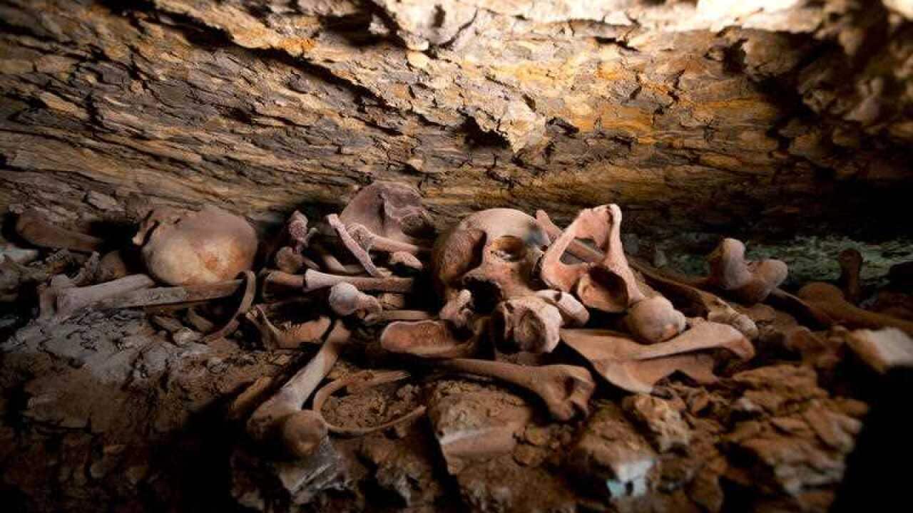 Recently discovered skulls and bones are seen at a mummification workshop dating back some 2,500 years at an ancient necropolis near Egypt's famed pyramids.