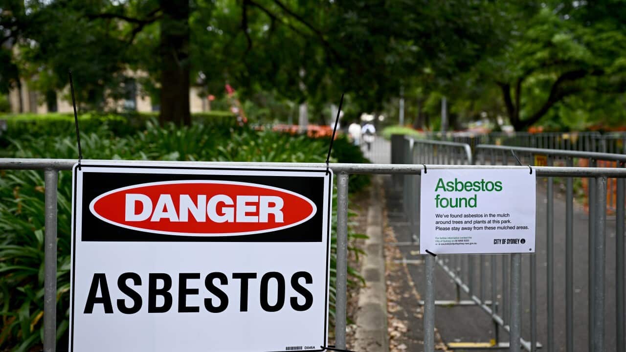 Image for read more article 'READ MORE'