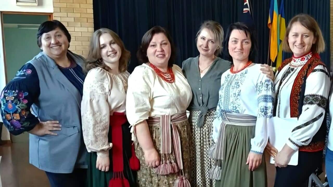 multicultural festival 2026.jpg