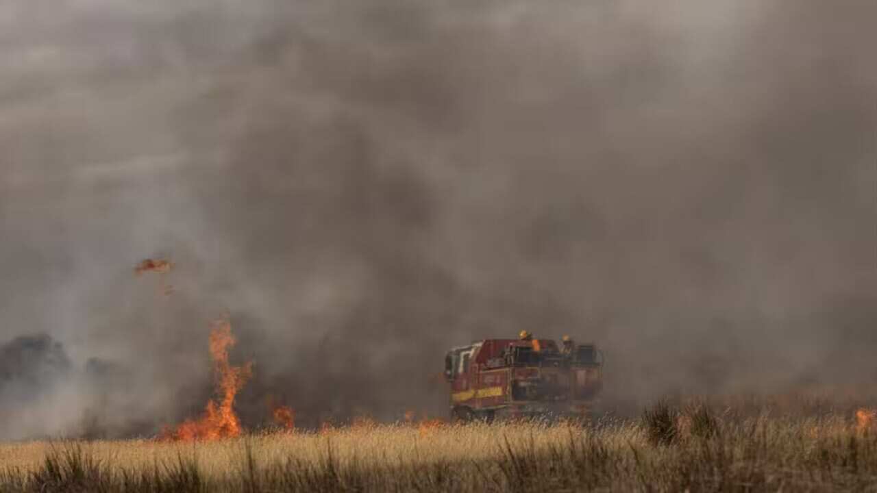 Dab-kaymeed ka gubanaya Grampians National Park ee Victoria (AAP) Source: AAP / DIEGO FEDELE/AAPIMAGE