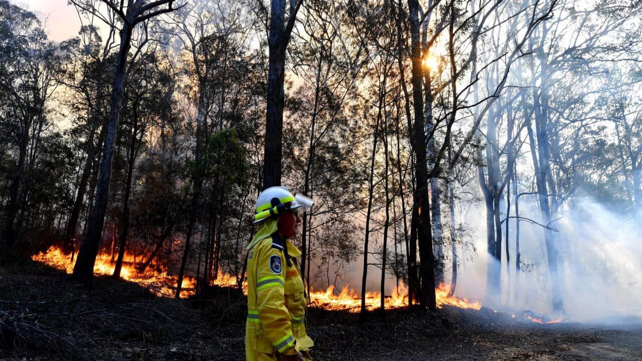 A firefighter monitors a bushfire, believed to have been sparked by a lightning strike that has ravaged an area of over 2,000 hectares