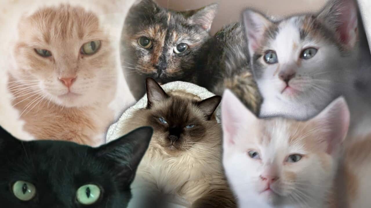 Image for read more article ''