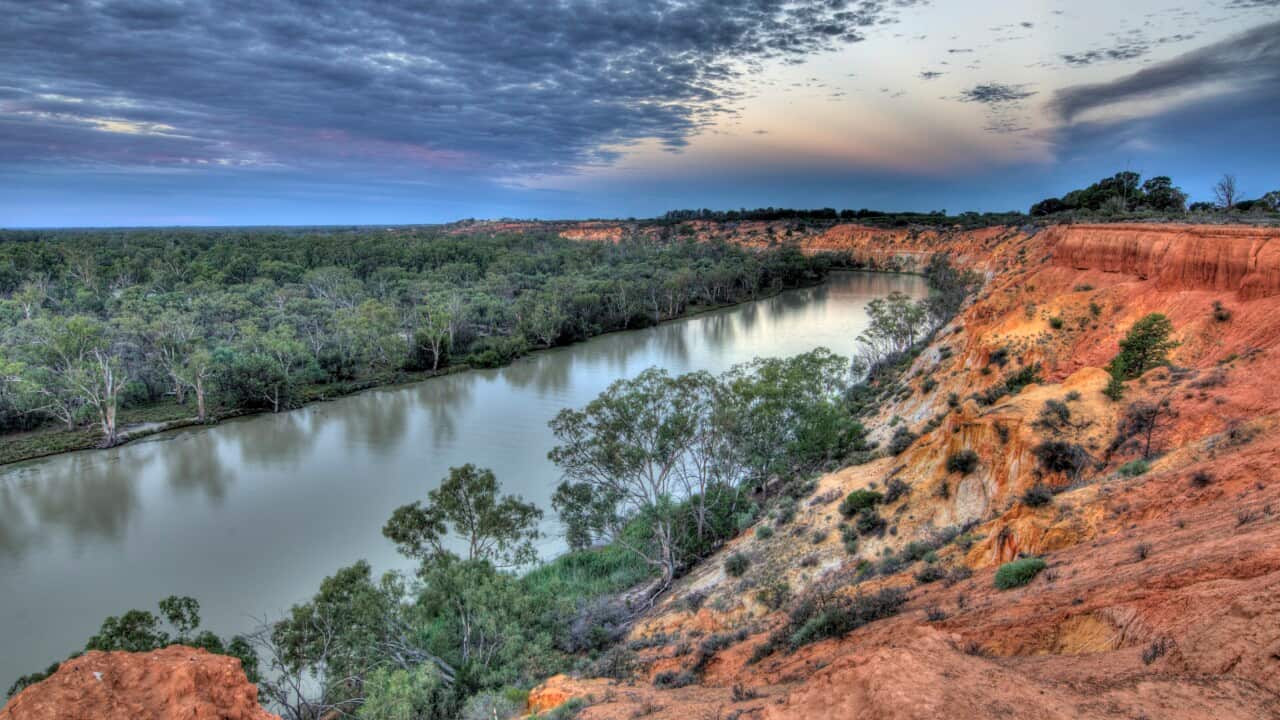Murray River National Park.