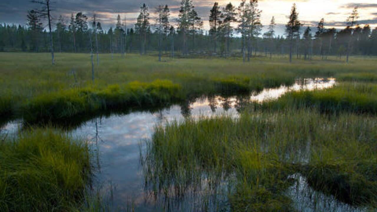 Alvdalen