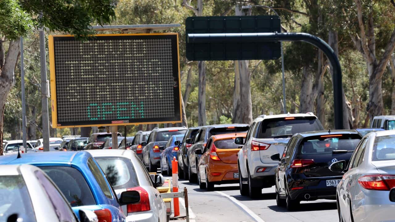 Cars queue for the COVID-19 testing facility at Victoria Park, just outside the Adelaide CBD on 16 November, 2020.