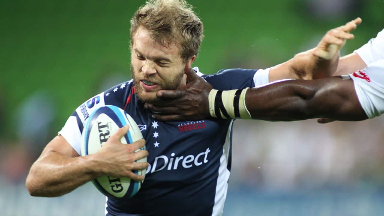 Lachlan Mitchell for the Rebels