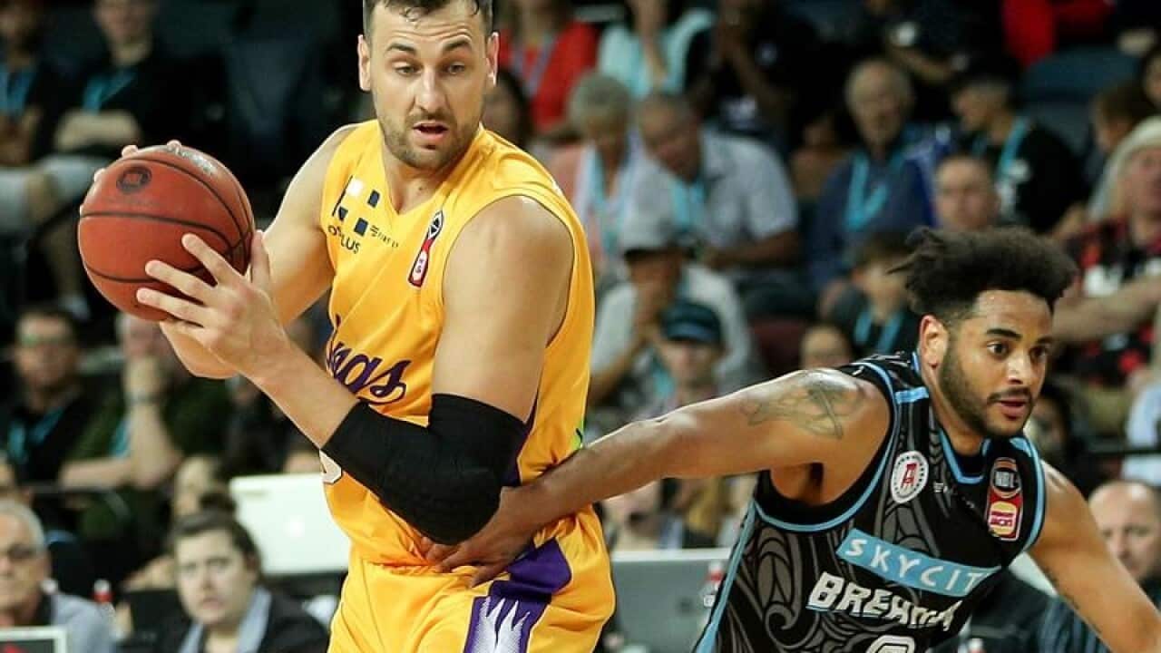 Andrew Bogut